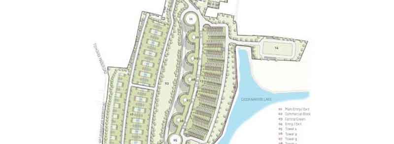 Pursuit of a Radical Rhapsody