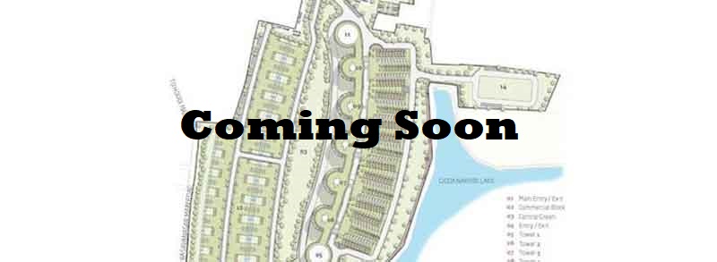 Pursuit of a Radical Rhapsody